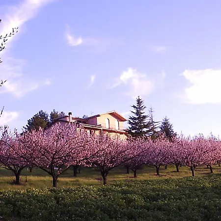 Podere Costantino 테리치올라