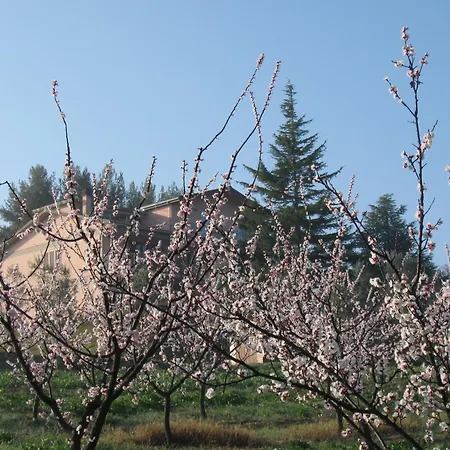 팜스테이 Podere Costantino 테리치올라